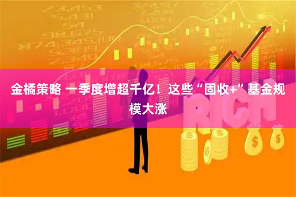 金橘策略 一季度增超千亿！这些“固收+”基金规模大涨