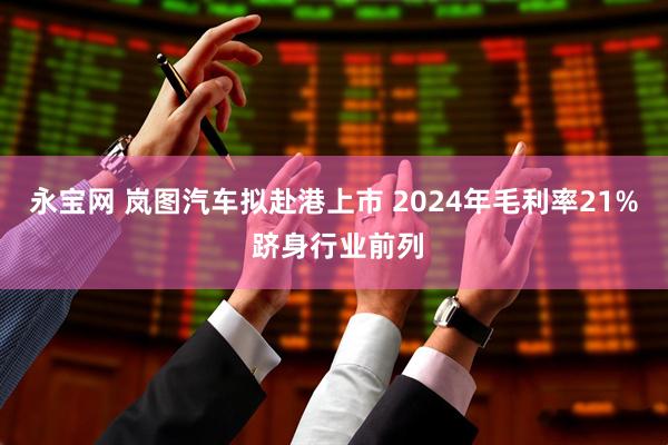 永宝网 岚图汽车拟赴港上市 2024年毛利率21% 跻身行业前列