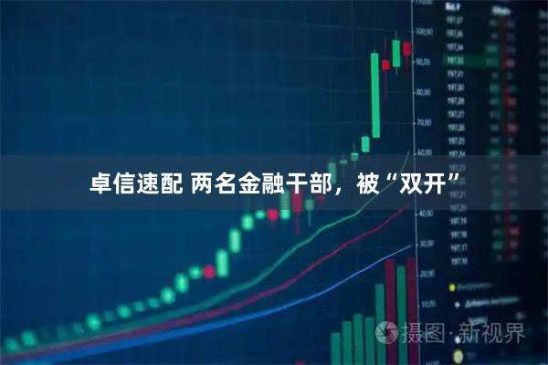 卓信速配 两名金融干部，被“双开”