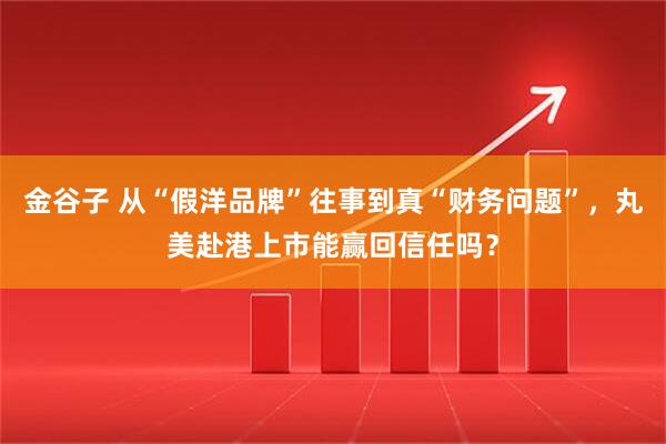 金谷子 从“假洋品牌”往事到真“财务问题”，丸美赴港上市能赢回信任吗？