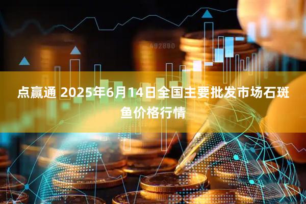 点赢通 2025年6月14日全国主要批发市场石斑鱼价格行情