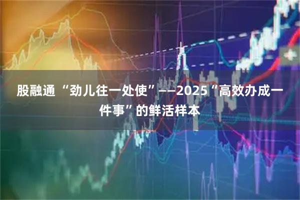股融通 “劲儿往一处使”——2025“高效办成一件事”的鲜活样本