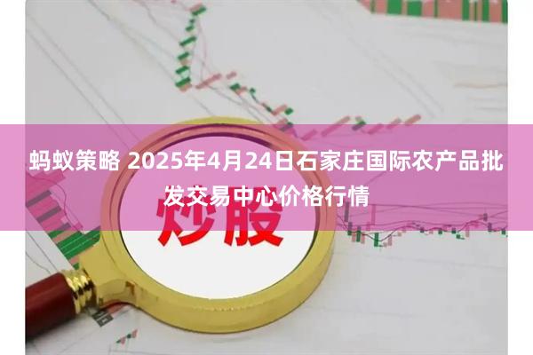 蚂蚁策略 2025年4月24日石家庄国际农产品批发交易中心价格行情